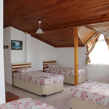 Hostel Trekios & Cafe Eceabat